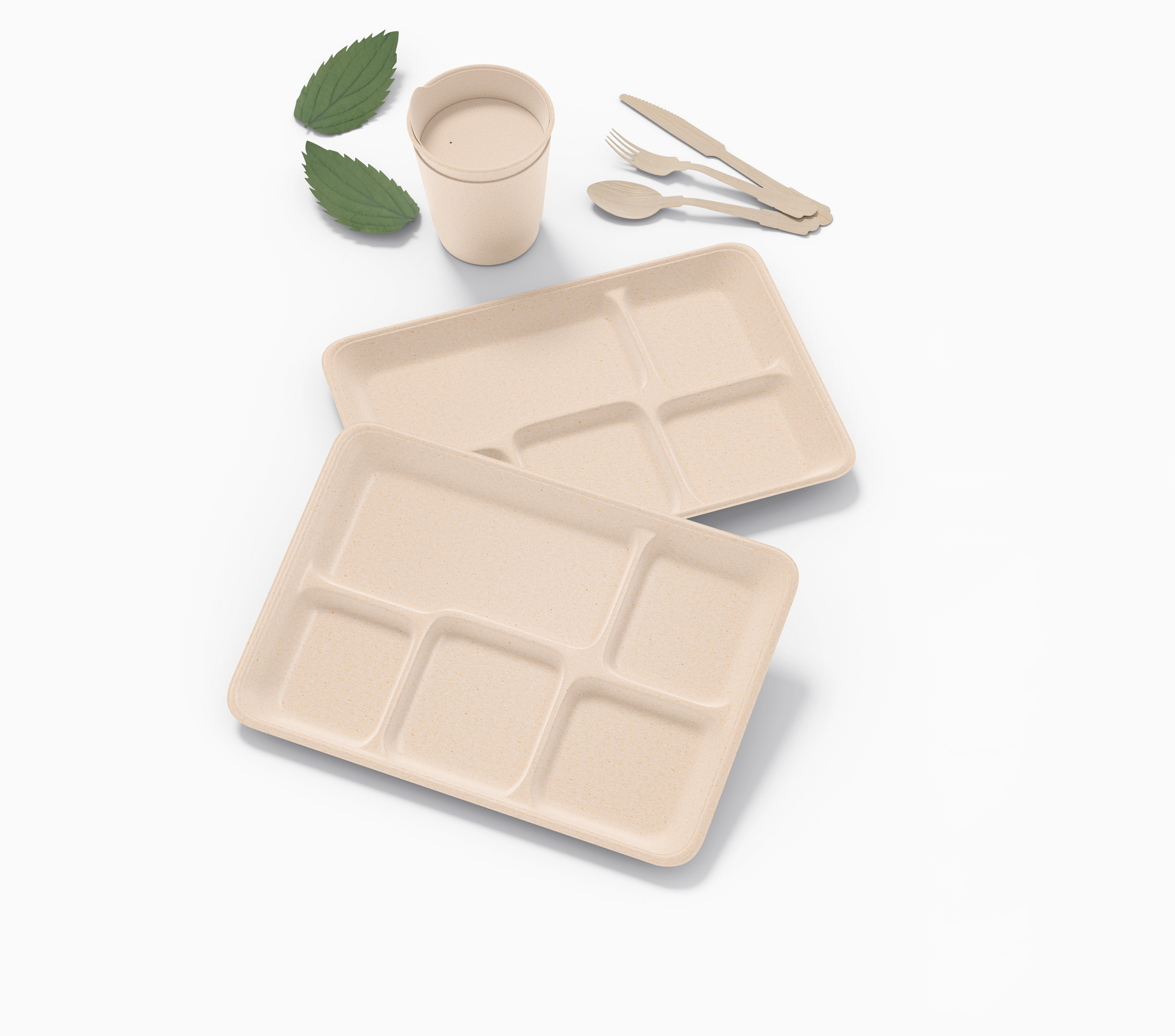 bagasse-containers-2